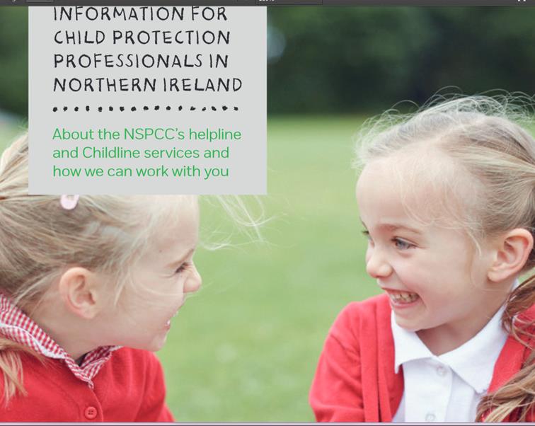Information for Child Protection Professionals in Northern Ireland (NSPCC)