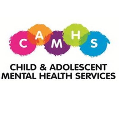 CAMHS NI Newsletter