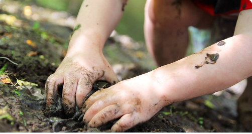 5 Nature play ideas for the outdoors
