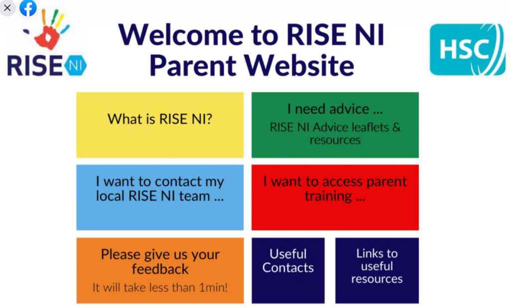 RISE NI Website for Parents