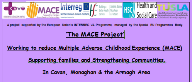The MACE Project