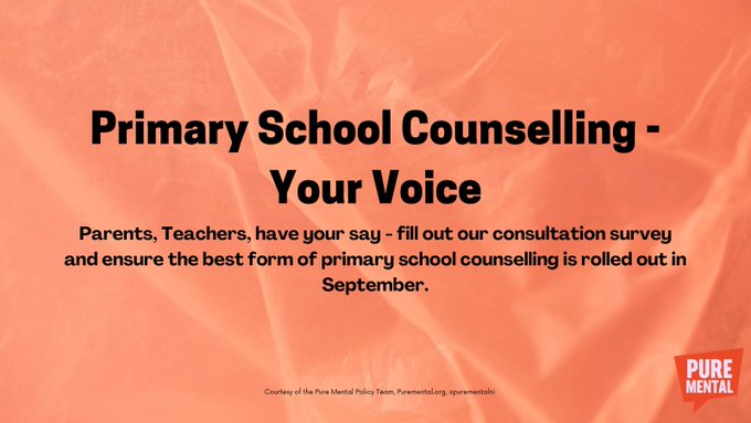 Primary School Counselling- Consultation
