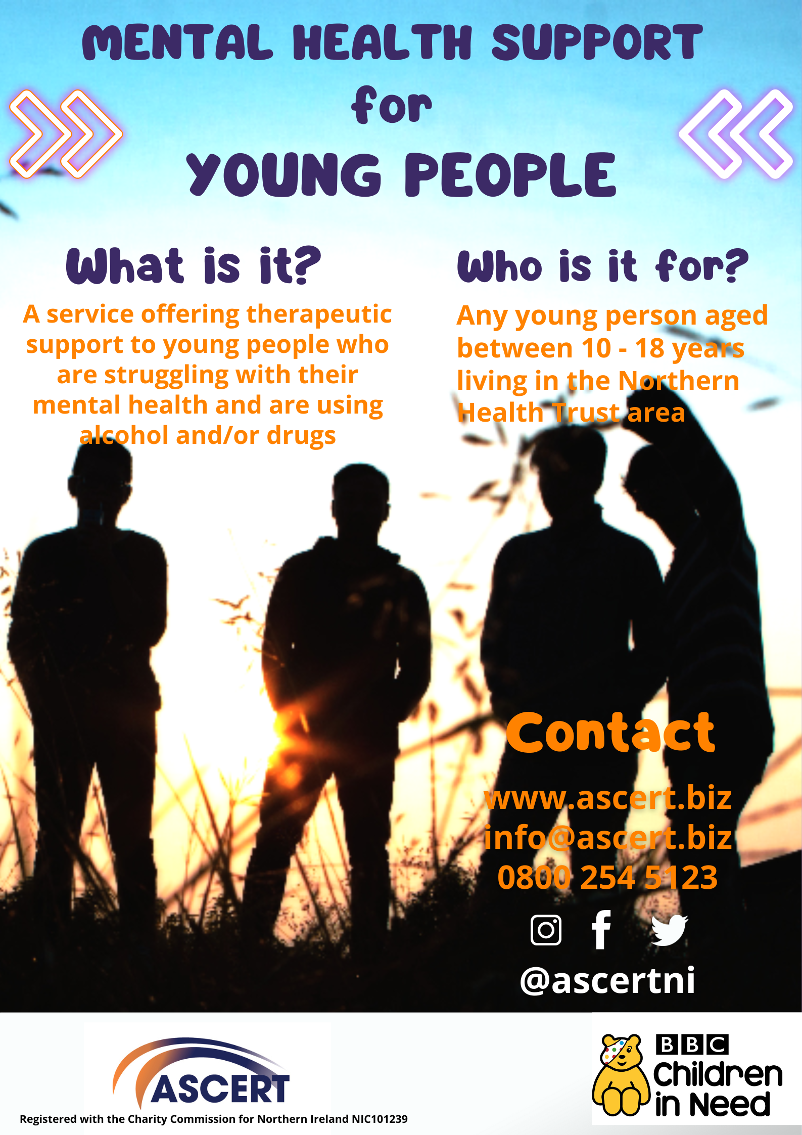 Mental Health Support for Young People Living in the Northern Trust Area