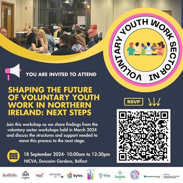 Shaping the future of voluntary youth work in Northern Ireland: Next steps